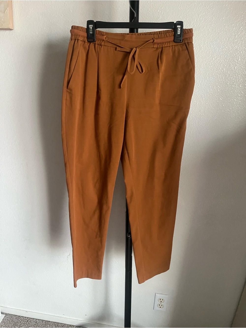 Zara Straight-Leg Drawstring Pants in Rust